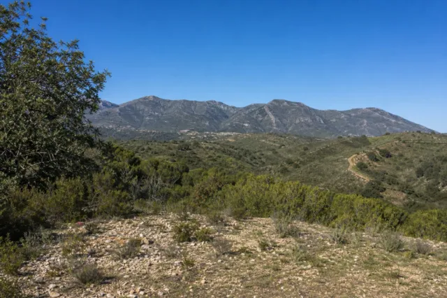 Buildable plot in Marbella — photo 2